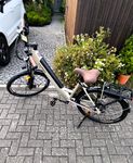 FAFREES F26 Pro City Elektrofahrrad