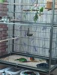 Yaheetech Vogelkäfig mit Ständer, Vogelvoliere mit 3 Holzstangen und 4 Futternäpfen, Wellensittic
