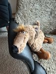 Schnelle Lieferung! Super Preis! Umweltfreundlich verpackt!
