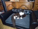 Canapé spacieux