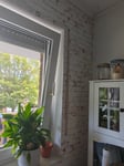 Super Tapete um  Highlights zu setzten 