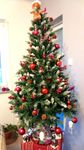 Weihnachtsbaum 