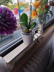 Vom Kunden hochgeladene Foto