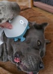 Top Produkt – meine Hunde lieben es!
