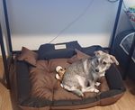 Super schönes Sommerbett