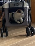 Hunde wagen