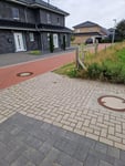 Eine Revolution bei der Unkrautentfernung