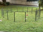 Meinen Hunden gefällst, besonders dem Welpen.