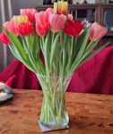 Die perfekte Tulpenvase!