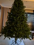Der Baum ist top! 