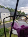 Bin sehr enttäuscht. Von 10 Orchideen 5 weiße und drei waren abgebrochen ausgerechnet die farbigen 