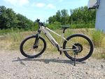 E-Bike MTB 