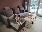 Sehr schönes Sofa, guter Komfort 