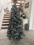 Top Baum für wenig Geld