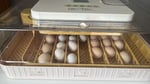 Sind mit der brutmaschine sehr zufrieden, sie hat alles selbst gemacht, befeuchtet und die Eier gedreht. Hat Alarm geschlagen wenn die Temperatur nicht Stimmte. Empfehlung gebe ich weiter 