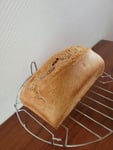 tolles Backergebnis