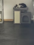 Katzenbaum