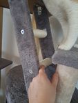 Unsere Katzen lieben ihn!