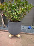 Robuster Blumentopf 