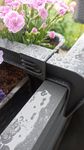 Blumenkasten