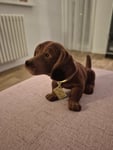 HerzAllerliebst
