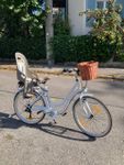 Ein günstiges aber schönes Fahrrad 