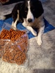 Die Leckerlis-sind einmalig - toll frisch, gut verpackt - kann man nur loben.Danke schön von mir und Rocky.