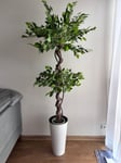 sztuczna roślina Ficus, 150 cm