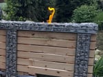Pouziti na zahrade-usazeno jako dekorace v plotě