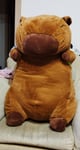 Kapybara