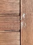 Sehr schöne Truhe aus tollem Holz