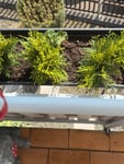 Bin ich sehr zufrieden mit der Produkte?