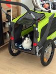 Geile Hundekarre