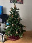 Sehr schöner Baum 