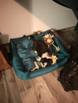 Vom Kunden hochgeladene Foto