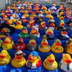 Hausbachflitzer e.V. Super XXL Ente fürs das Firmen-Vereineentenrennen in Weiler im Allgäu 