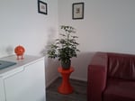 Wie ein Designer Stück