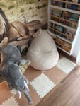 Toller Sitzsack 
