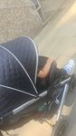Daliya Buggy 