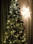 Toller Weihnachtsbaum, sind sehr zufrieden, kann ich weiterempfehlen!