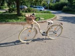 Schönes Retro Fahrrad