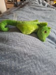 Ein zauberhaftes kleines Seepferdchen!