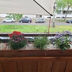 Holzblumenkasten