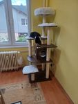 Velka spokojnost 