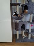 Unsere Katzen lieben ihn!