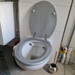 Hochwertiger WC-Sitz