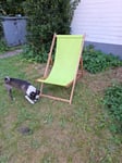 Super Liegestuhl