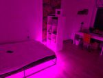 Cooles Bett