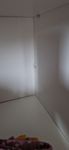 PAW Schrank