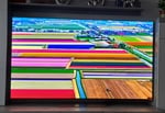 LG OLED evo 65"